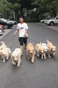 200_304gif 动态图 动图