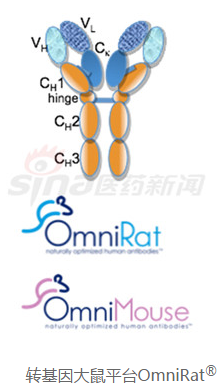 近年合作开发项目简析 药明生物(02269)在下一