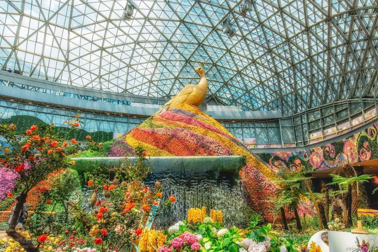 11月从太原出发,10个城市风景超美!昆明机票2