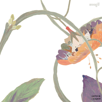 和孩子一起读诗 | 待到重阳日,还来就菊花|菊花