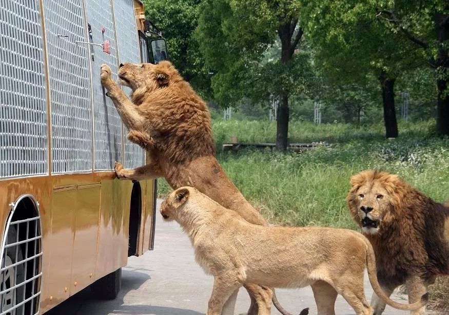 11月从太原出发,10个城市风景超美!昆明机票2
