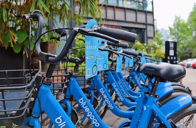 小蓝单车退款不畅联系客服成救命稻草 行业洗牌加剧