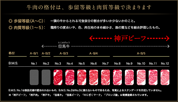 达到B/4以上的才是神户牛。图片来源：神户肉流通推进协会