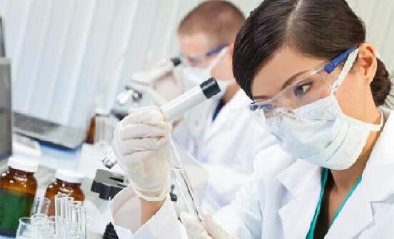 第三方医检掘金基层医疗:市场很大 回报率需提