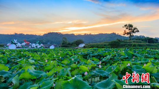 政策红利为内地农民工返乡创业拓致富路|返乡