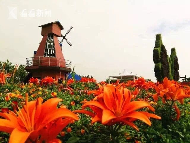 九九重阳 上海国际旅游度假区举行敬老优惠活