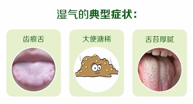 湿气重每天只需嚼几片,轻松排出体内十年湿气,健康又漂亮!-新浪汽车