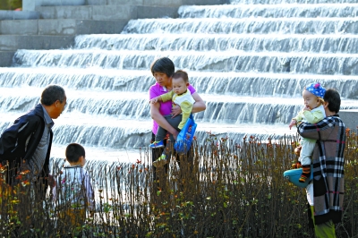 瀑布倾泻而下，让公园更显灵动。