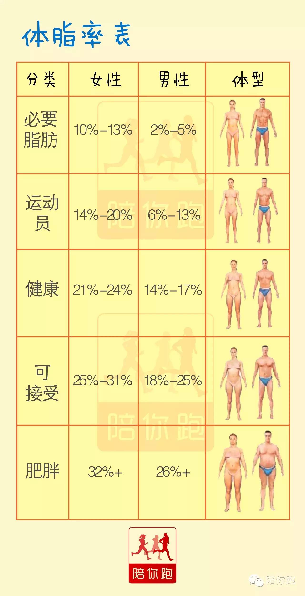 东马保养站 - 体脂率身材对比，自测方法，标准体脂 体脂率计算公式 成年女性🧑🏻🧑🏻🧑🏻的体脂率计算公式：... | Facebook