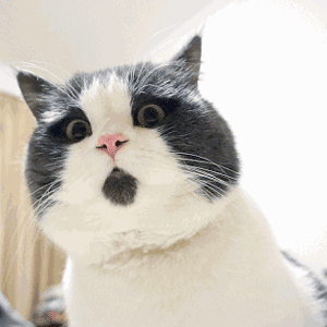 这辆奥迪A5我买亏了…(上)