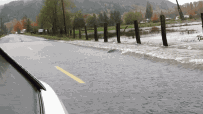 开车不礼让行人扣分罚款,那行人随意横穿马路闯红灯呢?