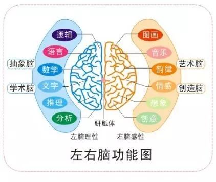 左右脑年龄测试?开心就好，当真你就输了!|测试|开心就好|大脑_新浪新闻