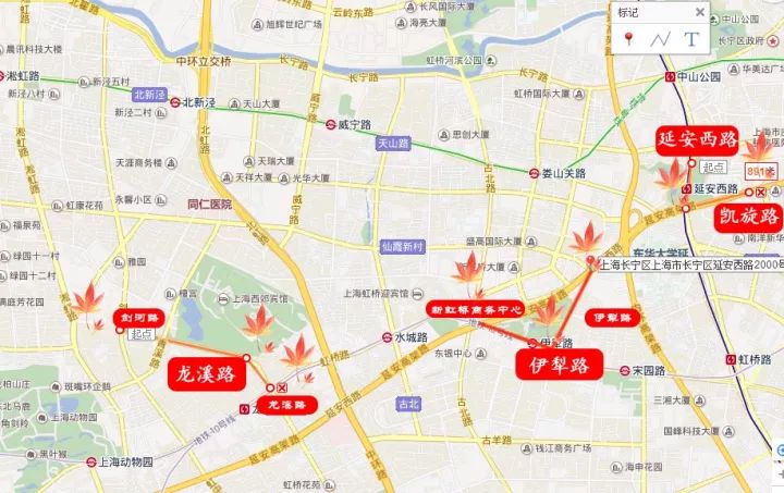 2017上海赏秋地图来啦!快去这42条路段49个公