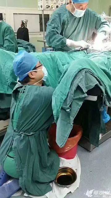 最美姿势!广东55岁医生跪地半个多小时为患者