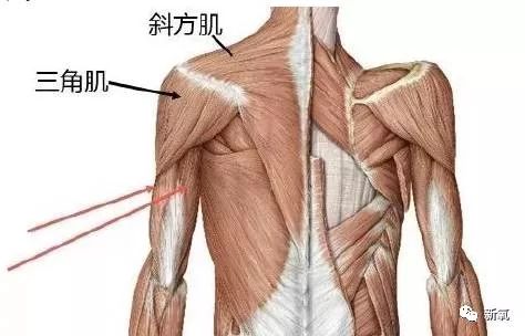 允儿顶着这么大的斜方肌还敢穿抹胸裙，谁给的勇气?|斜方肌|礼服|允儿_新浪女性_新浪网