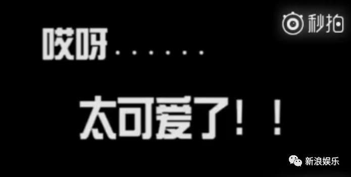陈小春的大型双标现场,他是真控制不住女儿奴的灵魂...