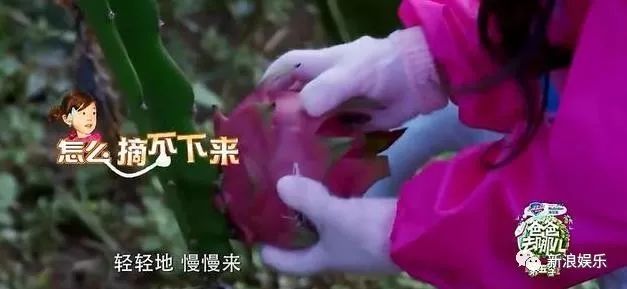 陈小春的大型双标现场,他是真控制不住女儿奴的灵魂...