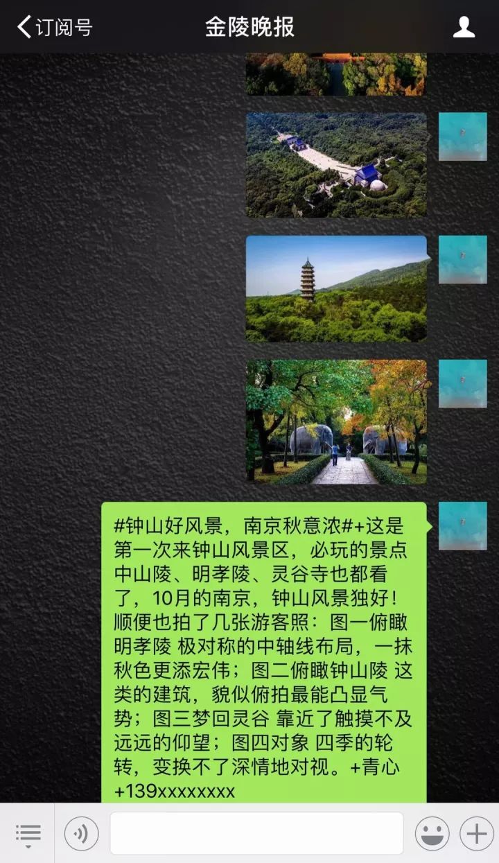 是时候打卡了,钟山的秋已解锁|钟山|明孝陵|南京