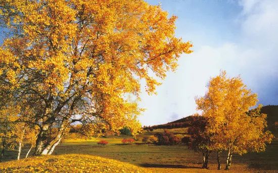 涨知识!这十八个关于秋的成语,原来都出自诗词