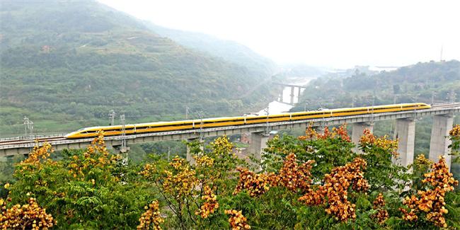 [重庆]“黄医生”试跑渝贵铁路(图)|动车组|铁路|医生_新浪新闻