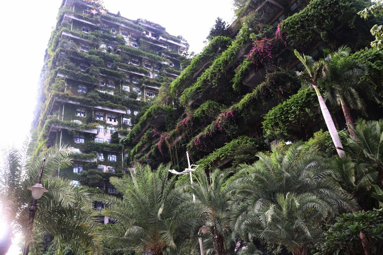 【关注】给你一个“五星级的家”!碧桂园底气何来|碧桂园|杨国强|毕业生_新浪新闻