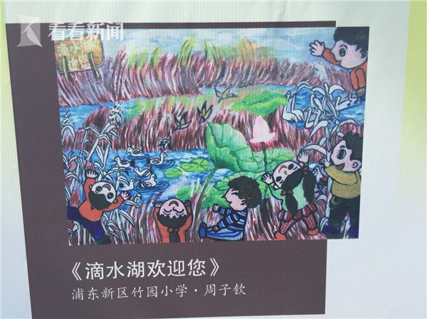 人与自然--川流上海 活动举行 河道整治已完成