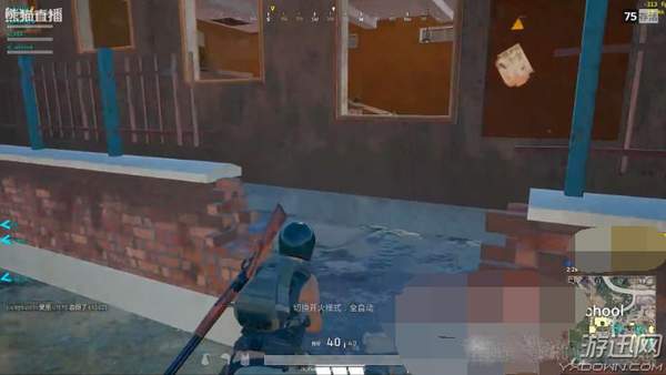 王思聪开黑吃鸡IG队员全程护卫!校长乱雷炸死