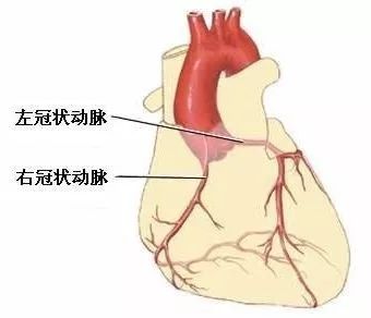 这种疾病比癌症还凶险 发现不及时可能致猝死