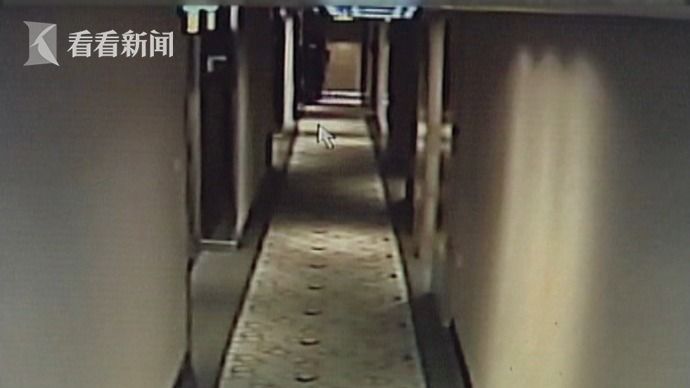 视频|怀疑女友出轨男子冒充警察查房 女友从房内出来后没解释便扬长而去|女友|查房|男子_新浪新闻