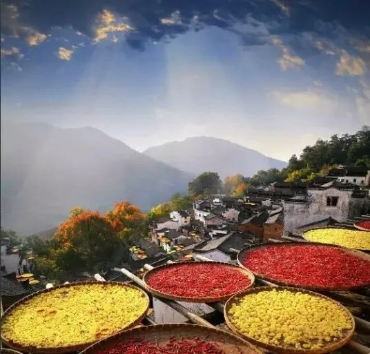 岁岁重阳,今又重阳!|茱萸|贼风|佳节