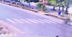 大货惹不起，电动更惹不起