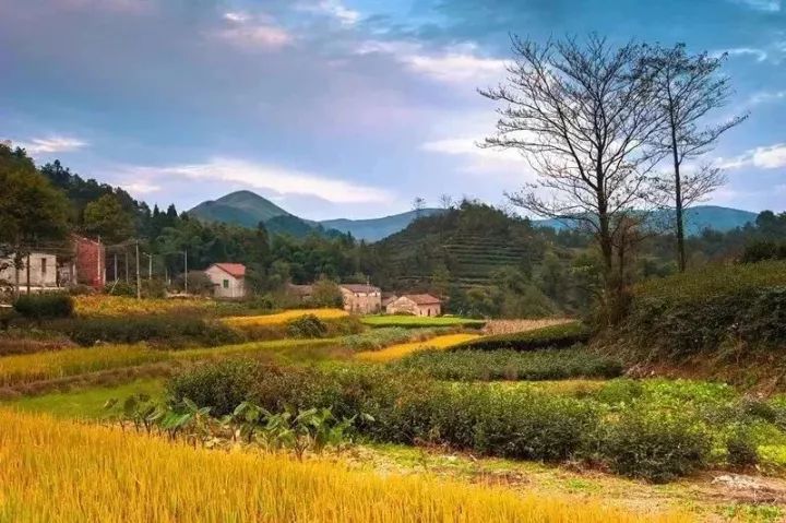 盘点绍兴柯桥最适合登高赏秋地方 包括上青古