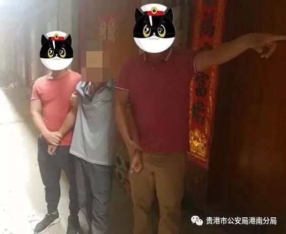 施暴人林某被依法拘留