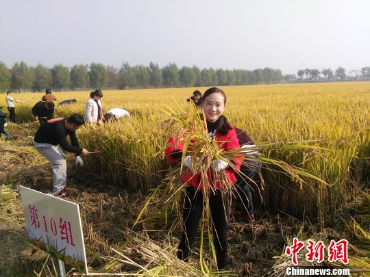 江苏泗洪稻田半马开跑 营销秀展示稻米文化
