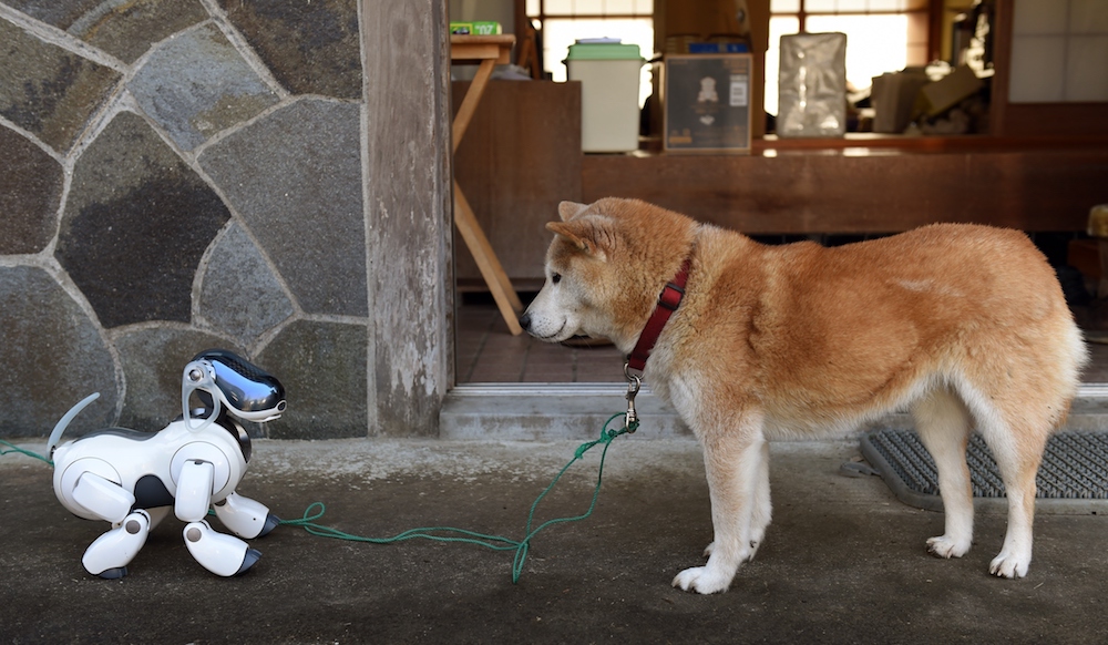 索尼的 Aibo 机械狗要回来了,你还喜欢它吗?|索
