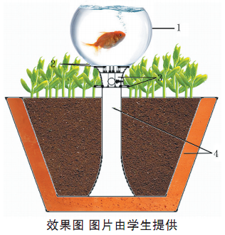 2Yam-fynhhay8563068.png
