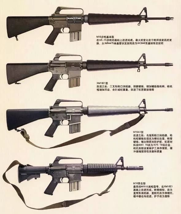 图注:M16系列枪族