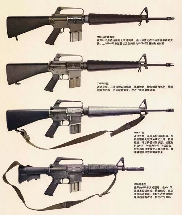 图注：M16系列枪族