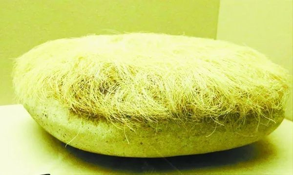 回暖了!回暖了!石家庄天气就是个磨人的小妖精