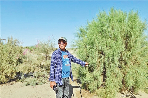 度调查:调活一河水 业兴生态美|玉米|额济纳旗|