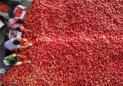 IMF四次上调预期,中国给世界注入持久动力|全