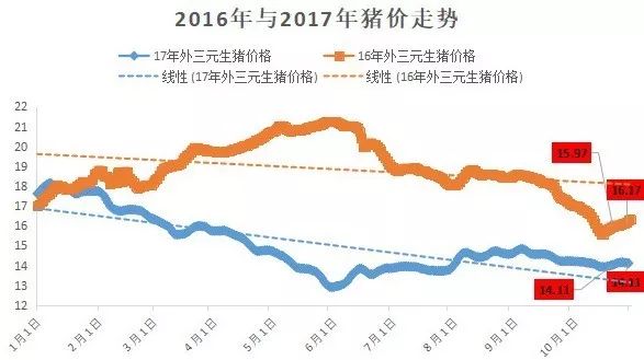 近期猪价将迎来上涨!|农产品|期货