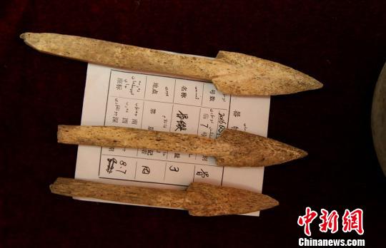 图为出土的骨镞。 奇台县文物局供图