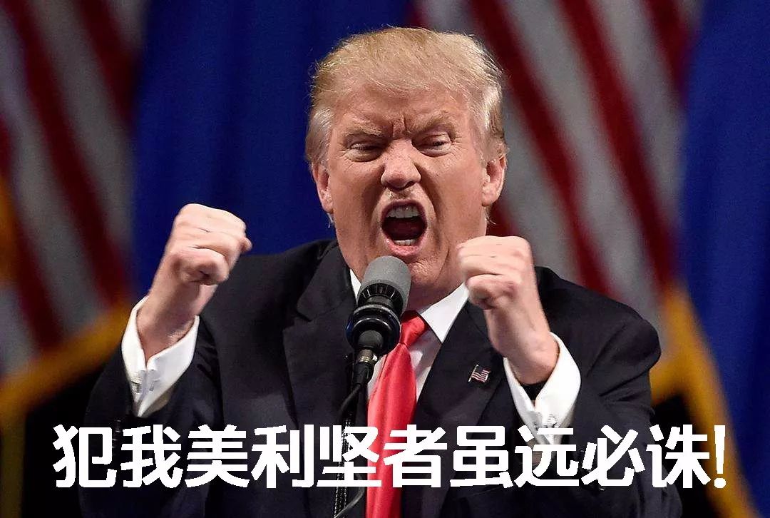 美擒获袭击驻利比亚大使馆凶手 特朗普回应|特