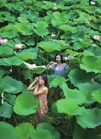 桃江缘何出美女