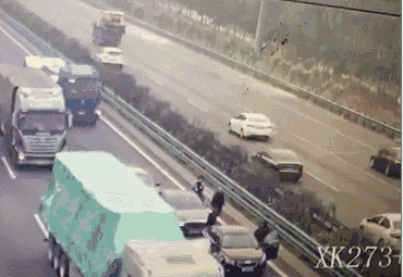 视频传疯了!3只羊上高速引发连环车祸,4人死亡