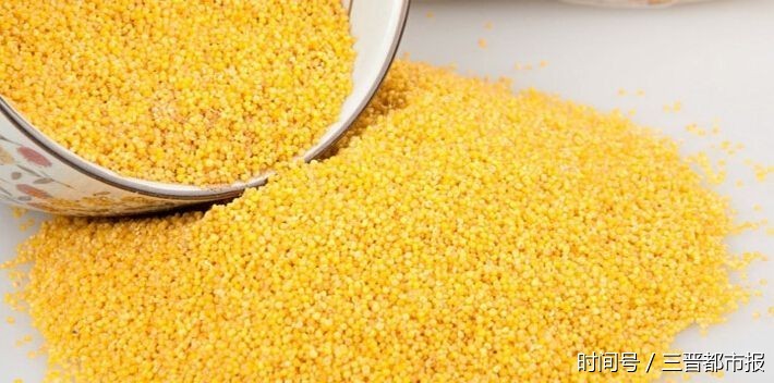 山西成立产业联盟打造山西小米品牌|粮食|山西