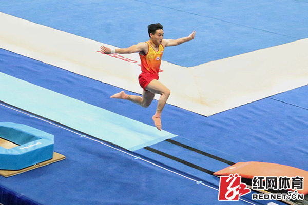屈瑞阳谭迪亮相全国体操冠军赛 将携手参加体操世界杯