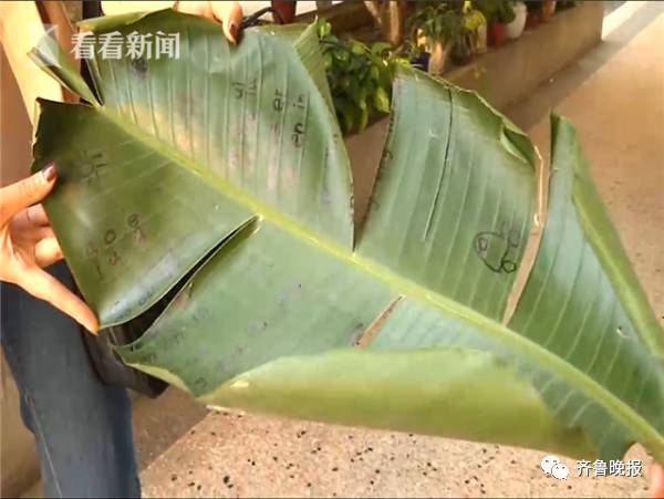 让在树叶上写拼音,小学生扛芭蕉叶交作业!亲爹