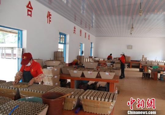 九项烟花爆竹国际标准在花炮之乡浏阳颁布